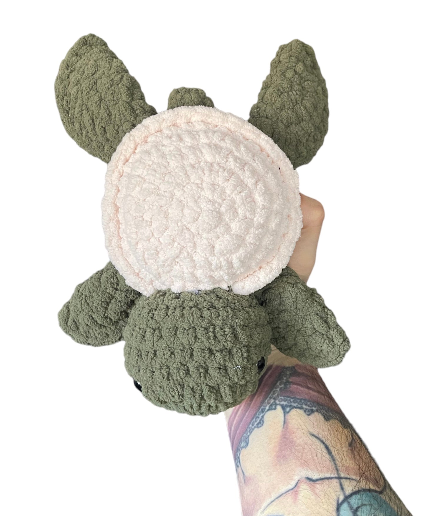 Mini Turtle (Green and Pink)